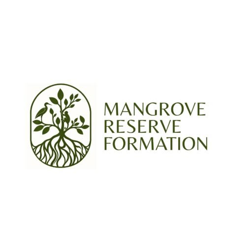 Mangrove Reserve Formation